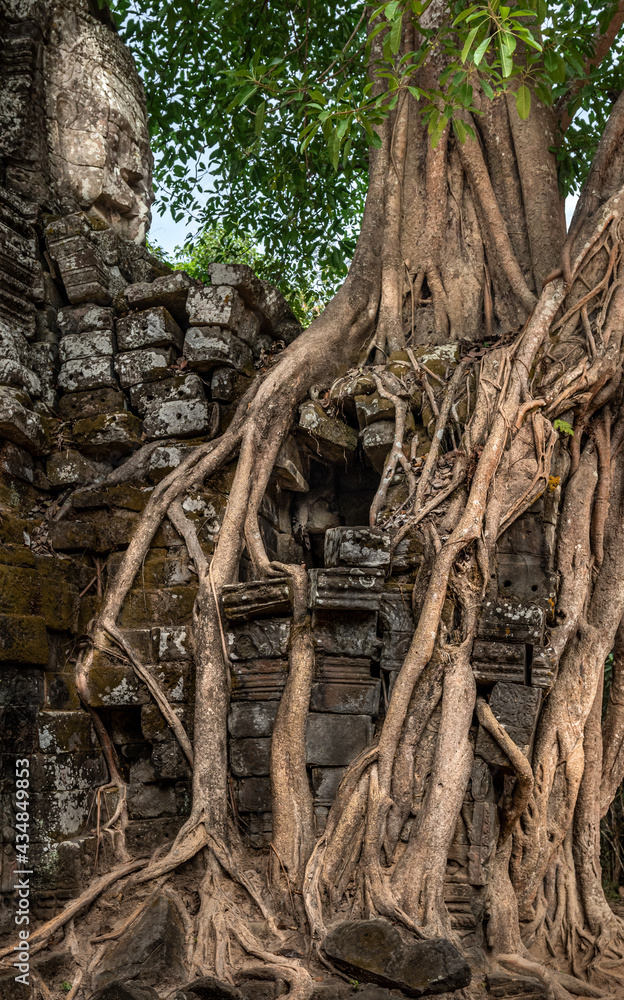 Overgrown temple Overgrown temple