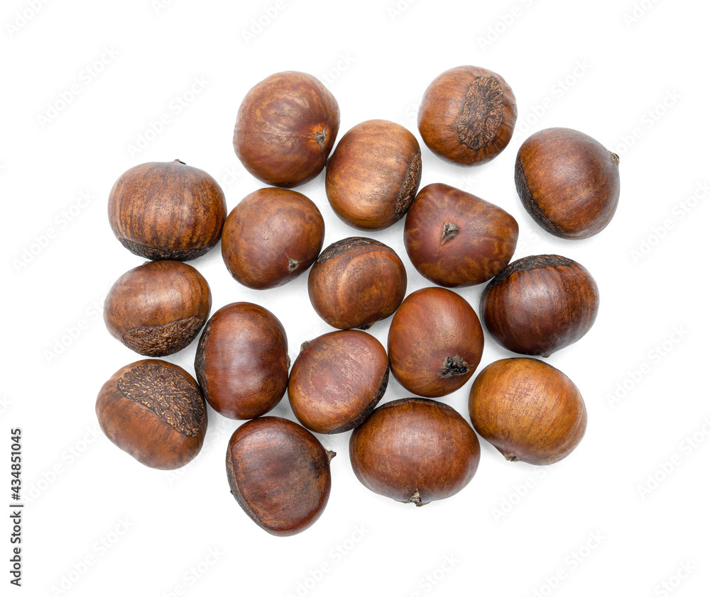 roasted chestnut isolated on white background roasted chestnut isolated on white background