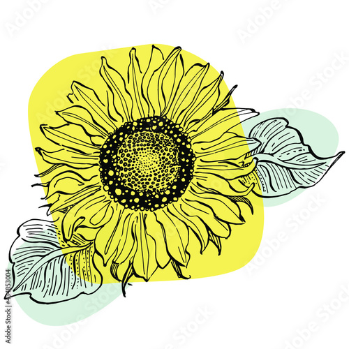 Contemporary art floral of sunflower posters in trendy colors. Abstract hand drawing flowers and geometric elements and strokes, leaves and flower. 