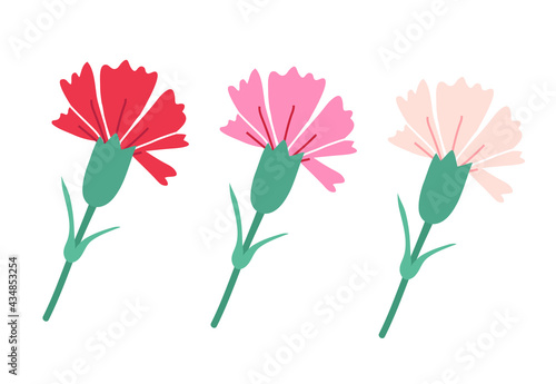 Set of decorative abstract red and pink carnation with green leaves isolated on white. Vector illustration. Vintage flowers for Mother's day decoration.	