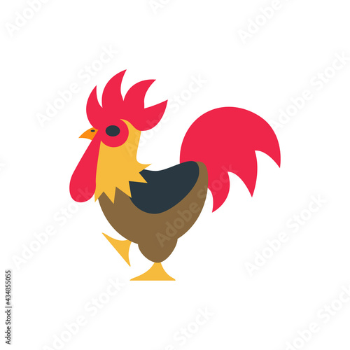 rooster vector, chicken of the farmer in agruculture, animal and pet of domestic animal