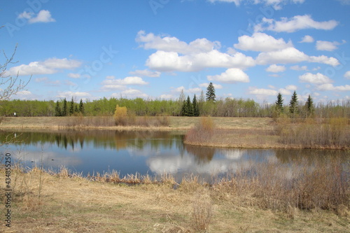 May Reflections On The Wetlands, Pylypow Wetlands, Edmonton, Alberta