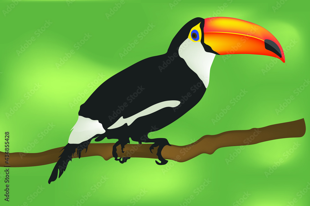 Naklejka premium toucan bird on a branch of the year