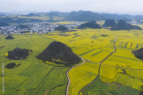 Aerial view of rapeseed flowers in Luoping, Yunnan - China photo