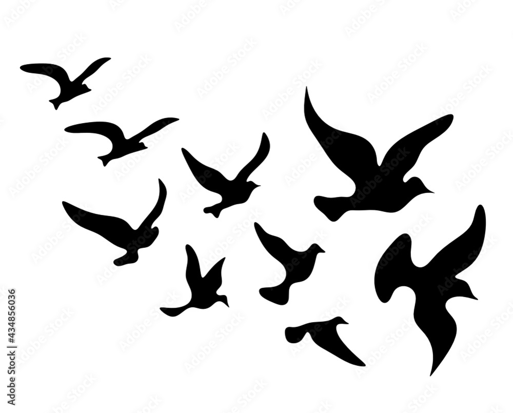 Silhouettes of groups of birds on white Silhouettes of groups of birds on white
