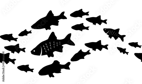 Silhouettes of groups of  fishes on white. Seamless background