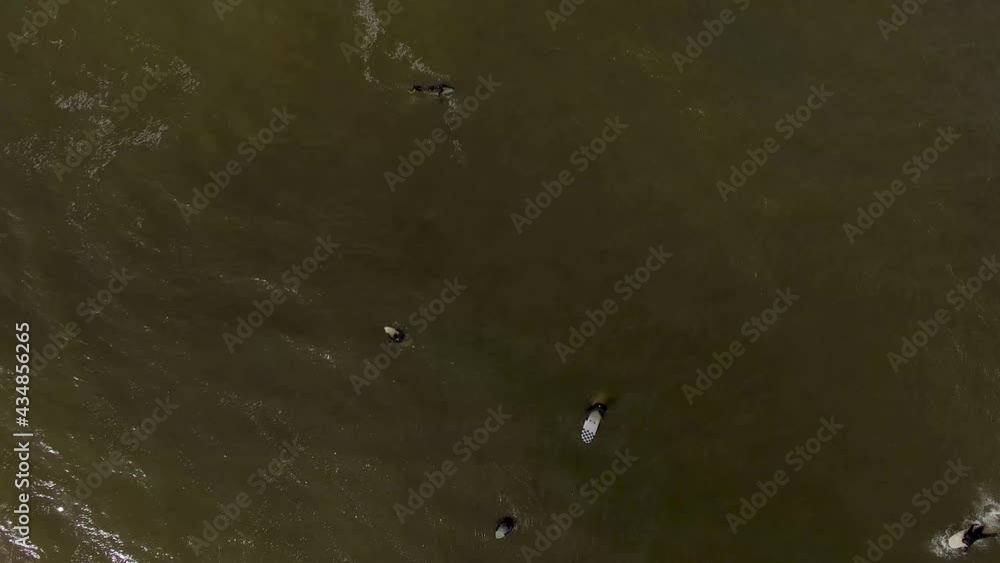 Aerial vertical view of surfers on their surf boards, floating on surface of vast sea. Aerial vertical view of surfers on their surf boards, floating on surface of vast sea.