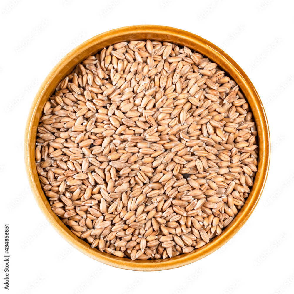 husked Spelt wheat grains in round ceramic bowl husked Spelt wheat grains in round ceramic bowl