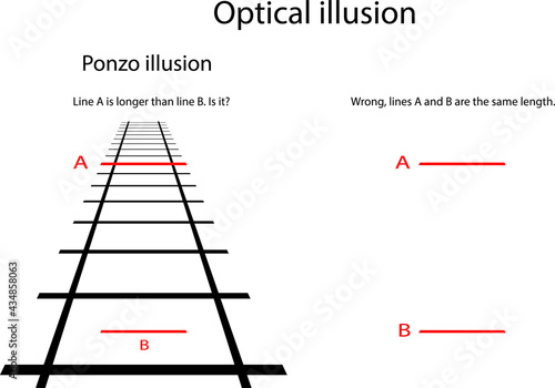 This illusion makes us think that two red lines are not equal in length. Despite the fact that the two red lines are equal in length.