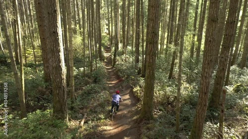 drone video of a mountain biker riding dirt trails through the lush forests of the Pacific Northwest on his bike, Sunshine Coast, British Columbia, Canada photo