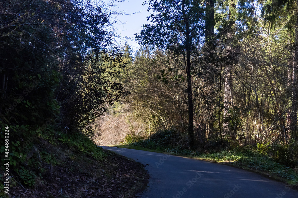 Obraz premium shadowed path leading through forest to bright arch