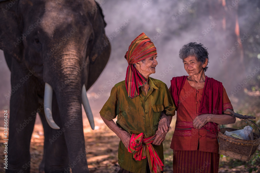 Φωτογραφία Elephant mahout with clever elephants