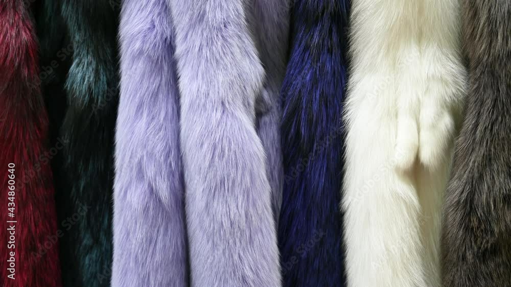 Naturally dressed skins hang in several rows. Demonstration samples of fur. Naturally dressed skins hang in several rows. Demonstration samples of fur.
