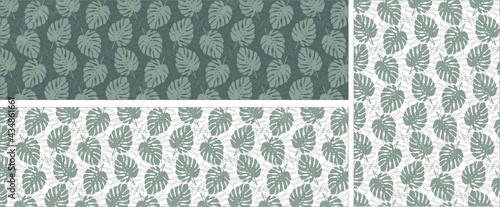 background, leaves, bio, palms, rest, natural, nature, plants, eco, monstera, green, passion fruit, tropics, tropical leaves, pattern, pattern, fabric, obstraction, vintage