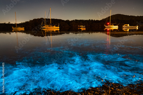 Bioluminescence glow in the bay nightscape with boats photo