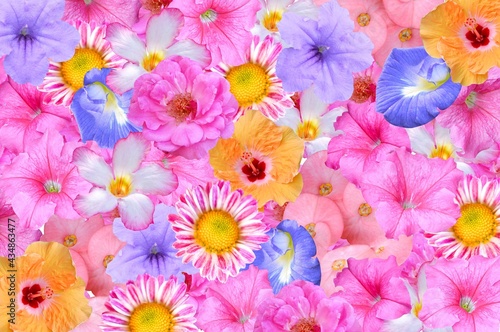 beautiful flower pattern background