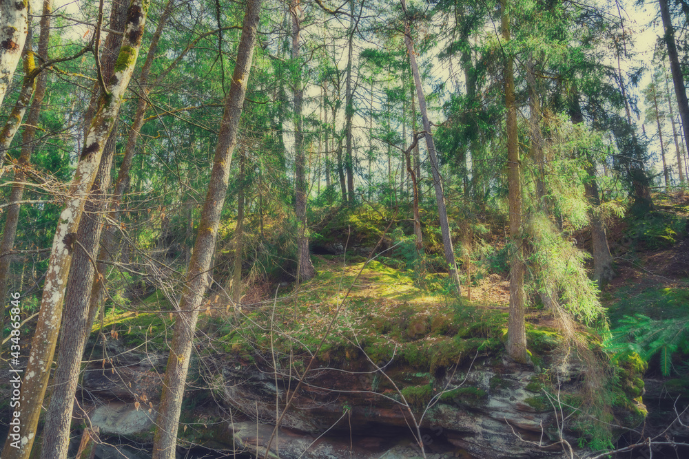 The Schwarzach Gorge is a popular hiking destination near Nuernberg in Middle Franconia (Bavaria/Germany). The path leads from Feucht to Schwarzenbruck. The sandstone is typical for this ravine. The Schwarzach Gorge is a popular hiking destination near Nuernberg in Middle Franconia (Bavaria/Germany). The path leads from Feucht to Schwarzenbruck. The sandstone is typical for this ravine.
