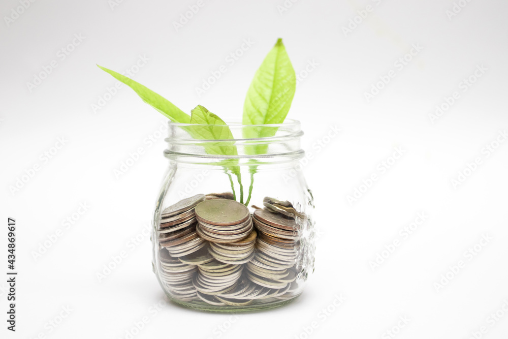 Growing plant from jar. Sprout with leaves growing out jar with Coins
