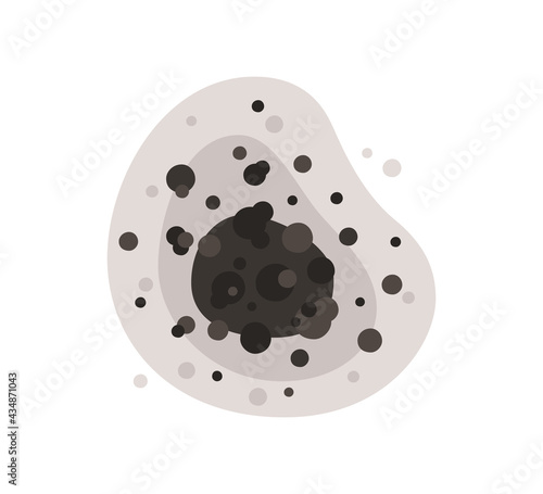 Black mold spot. Toxic mold spores. Fungi and bacteria. Tooth decay. Stain on the house wall. Isolated vector illustration on white background.