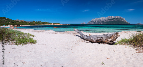 Fototapeta Naklejka Na Ścianę i Meble -  Crystal clear water on the doctor's beach, Olbia - Sardinia
