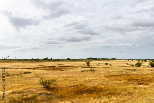 Barren land © suhStock