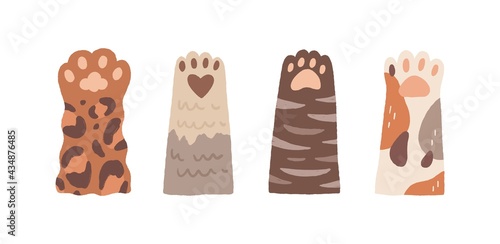 Set of cute cat paws with soft pads. Funny adorable fluffy feet of kittens. Kitty's hands raised up. Feline animals giving high five. Colored flat vector illustration isolated on white background photo