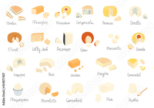 Big set of cheese illustrations. Different kinds - hard, soft, semi-soft, blue. Heads of cheese and parts. With inscriptions. Flat pretty design for menu, restaurant, shop.