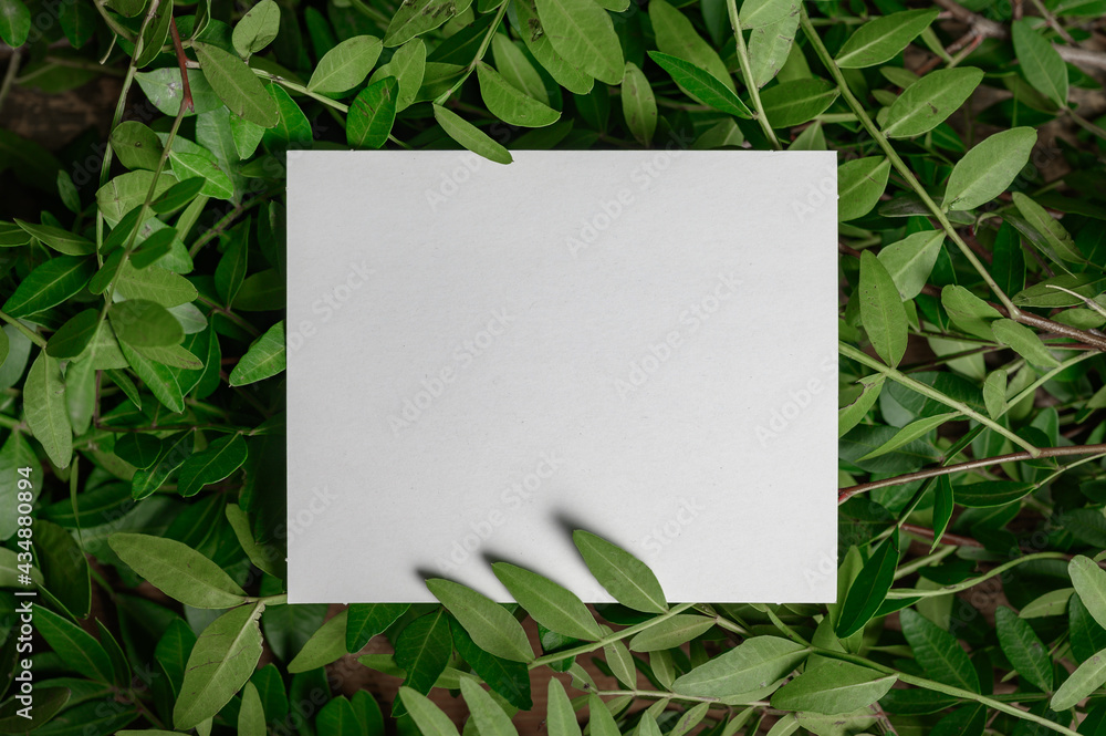 Paper Card Mockup on a Green Leaves for design of invitation, advertising card. Paper Card Mockup on a Green Leaves for design of invitation, advertising card.