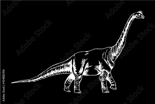 Graphical diplodocus on black background,dinosaur