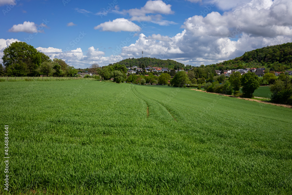 Schöne, grüne Frühlingslandschaft im Kraichgau, Deutschland, mit Getreidefeld im Vordergrund und einem Dorf mit Fernsehturm im Hintergrund. Schöne, grüne Frühlingslandschaft im Kraichgau, Deutschland, mit Getreidefeld im Vordergrund und einem Dorf mit Fernsehturm im Hintergrund.