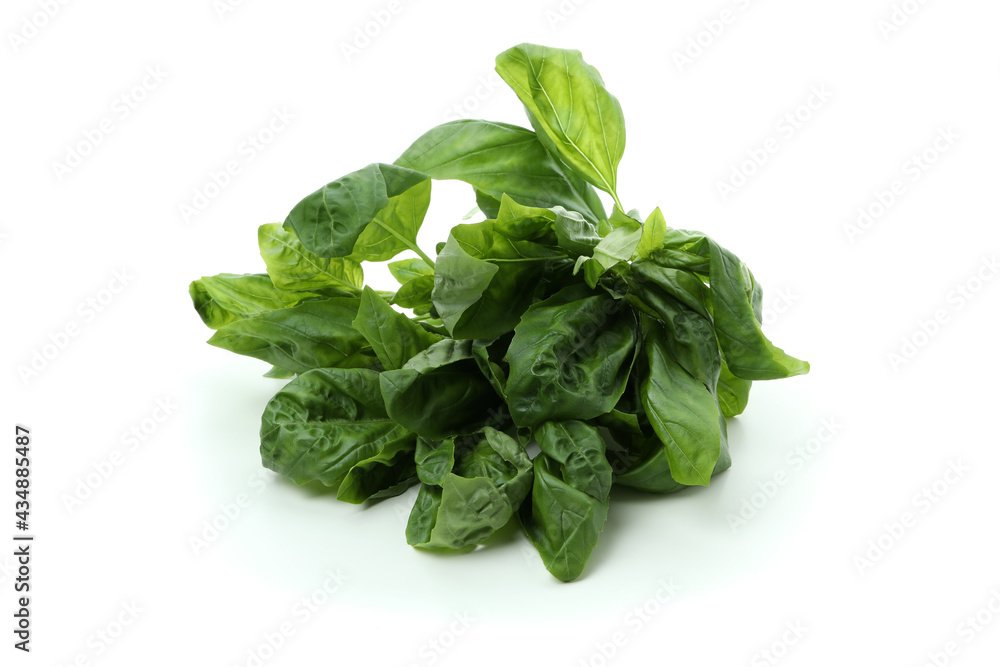 Fresh green basil isolated on white background Fresh green basil isolated on white background