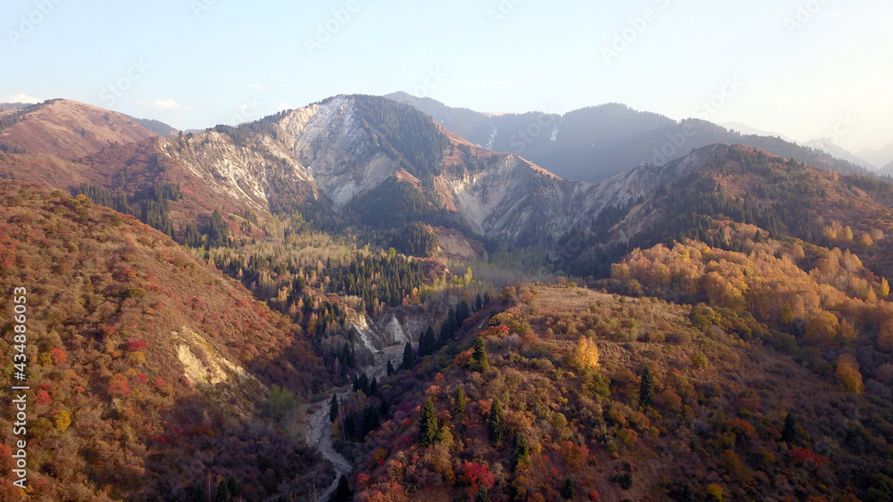 Autumn mountain forest. Top view from a drone. The bright colors of the trees. Green, orange, red, yellow - all colors. A mountain river is visible. There was a mudslide, a strong collapse of the rock