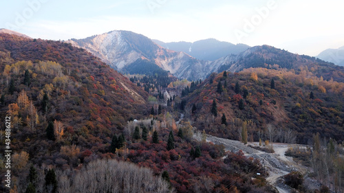 Autumn mountain forest. Top view from a drone. The bright colors of the trees. Green, orange, red, yellow - all colors. A mountain river is visible. There was a mudslide, a strong collapse of the rock