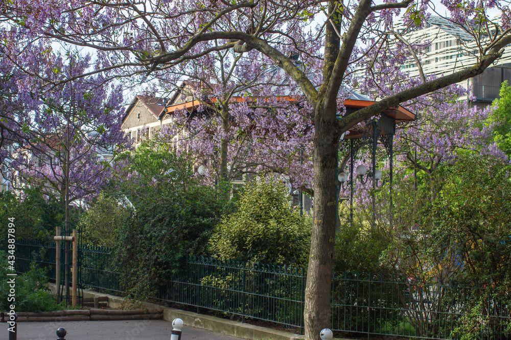 sidewalk of Paulownia trees flowering, old kiosk and new buildings sidewalk of Paulownia trees flowering, old kiosk and new buildings
