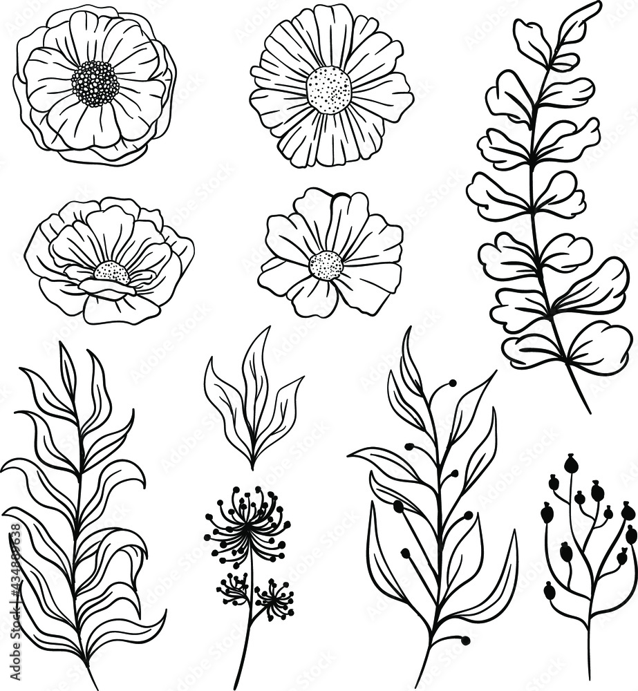 set daisy line art floral clipart set daisy line art floral clipart