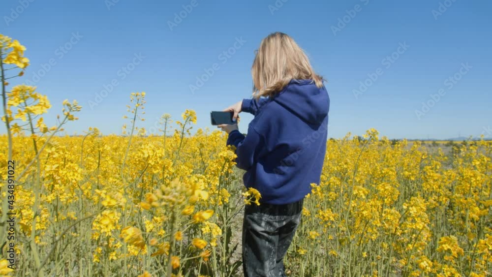 Pretty girl poses in front of a mobile camera, takes a selfie on the phone. Girl is photographed in a field with sunflowers. Portrait view. 4k Pretty girl poses in front of a mobile camera, takes a selfie on the phone. Girl is photographed in a field with sunflowers. Portrait view. 4k