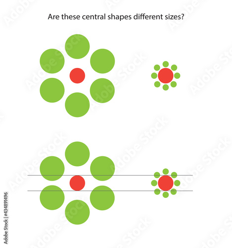 An optical illusion (also called a visual illusion) is an illusion caused by the visual system and characterized by a visual percept that arguably appears to differ from reality.