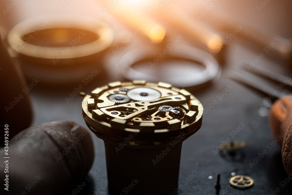 Mechanical watch repair process. Open pocket wristwatch. vel Stock Photo Adobe Stock