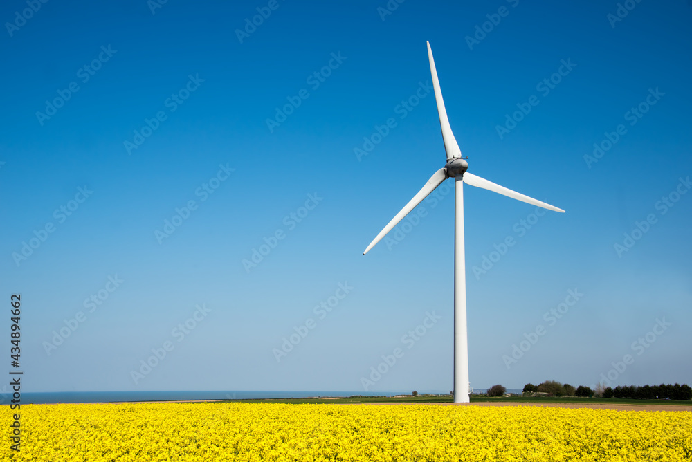 Wind turbine in a yellow flower field of rapeseed Wind turbine in a yellow flower field of rapeseed