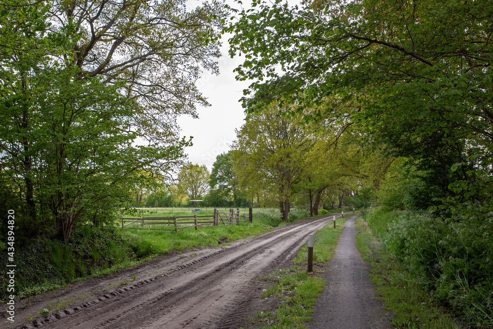 Uffelte Drenthe Netherlands. Winkelsteeg. Countryroad dirtroad. Uffelte Drenthe Netherlands. Winkelsteeg. Countryroad dirtroad.