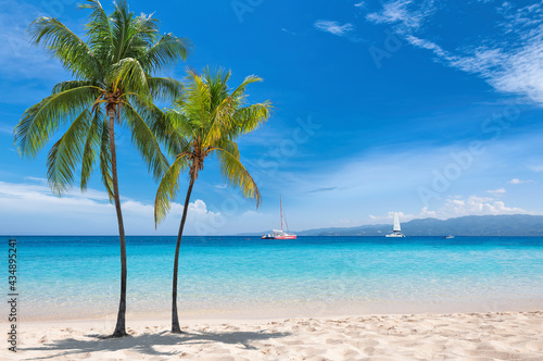 Fototapeta Naklejka Na Ścianę i Meble -  Sunny tropical white sand beach with coco palms and the turquoise sea on Jamaica Caribbean island.	