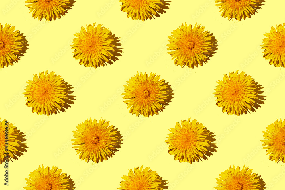 Seamless pattern of yellow fluffy dandelions on a yellow background Seamless pattern of yellow fluffy dandelions on a yellow background