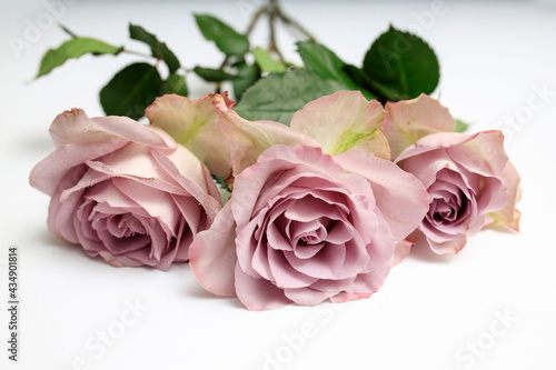 Three pale purple roses lie on the table as decoration of the wedding reception