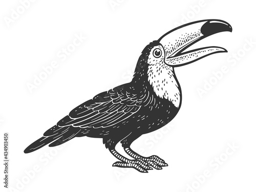 Toucan bird line art sketch engraving vector illustration. T-shirt apparel print design. Scratch board imitation. Black and white hand drawn image.