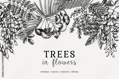 Vector banner with hand-sketched trees in flowers. Vintage illustrations on blooming wisteria, mimosa, albizia, acacia. Floral card or invitation design in retro style