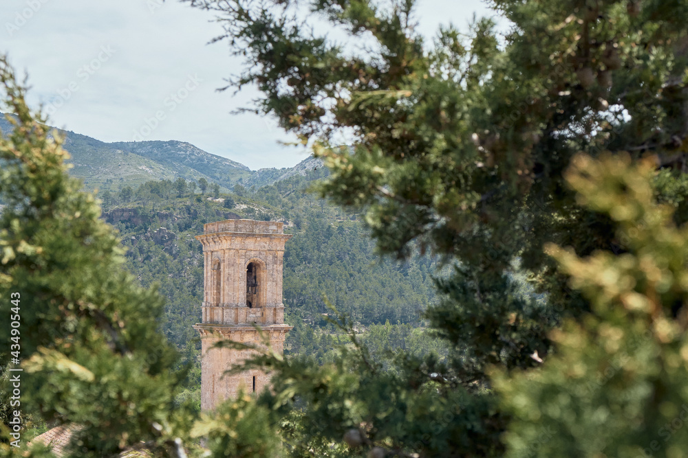 View of a bell tower between the branches of the trees