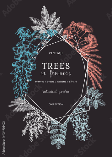 Vector banner with hand-sketched trees in flowers. Vintage illustrations on blooming wisteria, mimosa, albizia, acacia. Floral card or invitation design