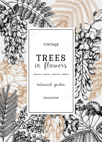 Vector card or invitation with hand-sketched trees in flowers. Vintage illustrations on blooming wisteria, mimosa, albizia, acacia. Floral design in retro style