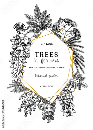 Botanical illustration with hand-sketched trees in flowers. Vintage frame with blooming wisteria, mimosa, albizia, acacia. Floral greeting card or wedding invitation design in color