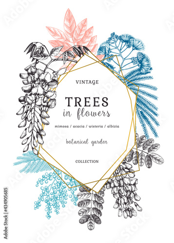 Botanical illustration with hand-sketched trees in flowers. Vintage frame with blooming wisteria, mimosa, albizia, acacia. Floral greeting card or wedding invitation design in color